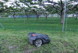りんご園内自動草刈り機の画像