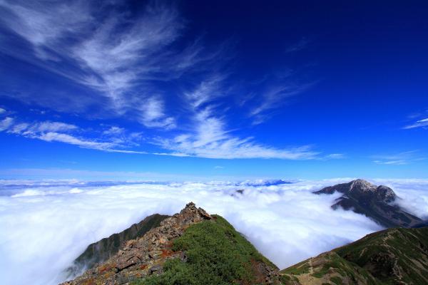 雲海と雲の映える東駒ヶ岳（写真）