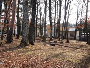 どんぐりの森(写真)1