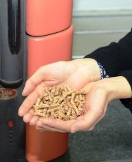 木質ペレット(アップ)