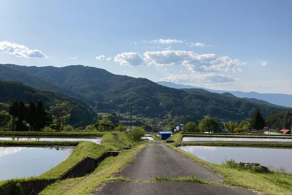 新山地域画像