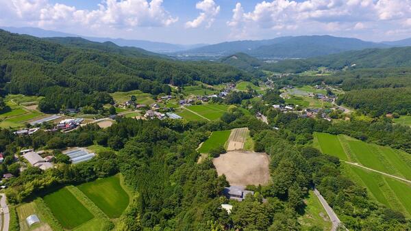 里山新山