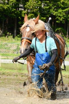 馬耕する横山晴樹さん