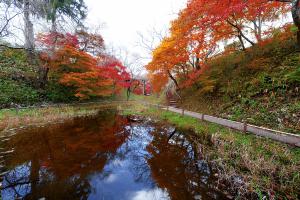 高遠城址公園紅葉3（イメージ）