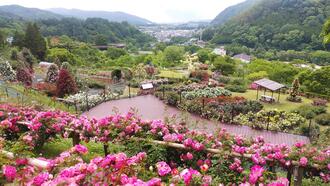 展望デッキの風景