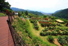 展望デッキからの風景