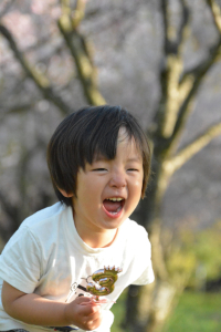 かいりくん