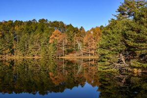千代田湖の写真