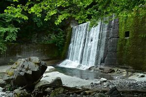 小黒川の堰堤の写真