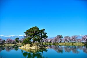 六道の堤の写真