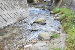 棚沢川の写真