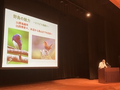 野鳥の魅力~とり、どり、鳥撮り~