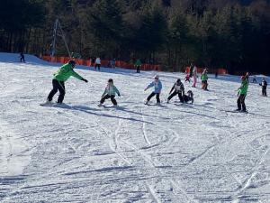スキー教室の様子