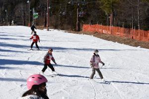 親子でスキーを楽しむ様子