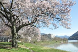 美和湖のほとり