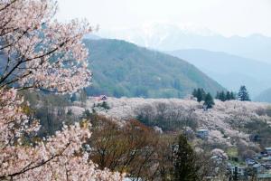 高遠城址公園（写真）