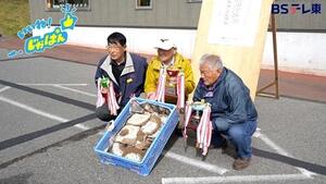 地蜂の巣コンテストの写真