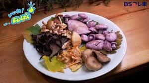 里山の雑きのこの写真