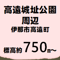 高遠城址公園周辺 伊那市東高遠  標高約750m