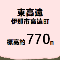 伊那市東高遠  標高約770m