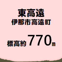東高遠 伊那市高遠町  標高約770m