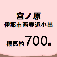 宮ノ原 伊那市西春近  標高約700m