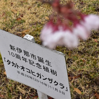 新伊那市誕生10周年植樹