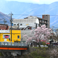 天竜川右岸の写真