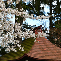 坂下神社の写真