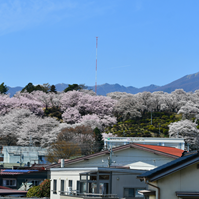 春日公園の遠景の写真