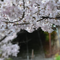 鉾持神社の参道の写真
