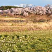 仙丈ヶ岳と堤の写真