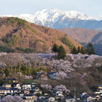 仙丈ヶ岳と城址公園の写真