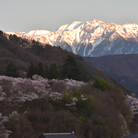 午後6時頃の写真