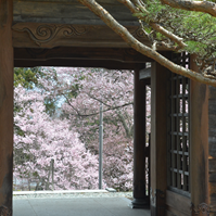 山門からの写真