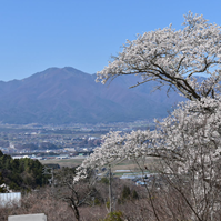 経ヶ岳の写真