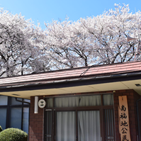 公民館裏手の桜の写真