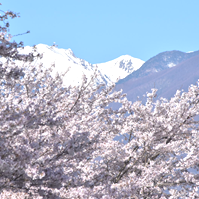 伊那前岳と中岳の写真