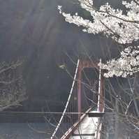 神田橋の写真