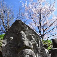 青面金剛像と桜の写真
