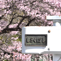 銘板の写真