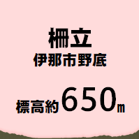 柵立 伊那市野底  標高約750m