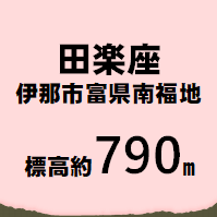 田楽座 伊那市富県南福地  標高約790m