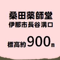 桑田薬師堂 伊那市長谷溝口  標高約900m