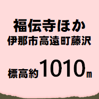 福伝寺ほか 伊那市高遠町藤沢  標高約1010m