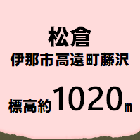松倉 伊那市高遠町藤沢  標高約1020m