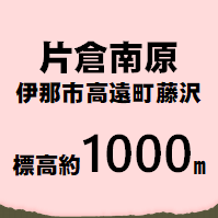 片倉 伊那市高遠町藤沢  標高約1000m