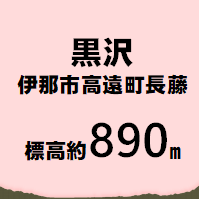 黒沢 伊那市高遠町長藤  標高約890m