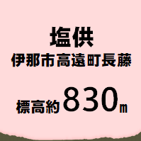 塩供 伊那市高遠町長藤  標高約830m