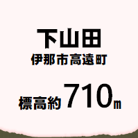 下山田　伊那市高遠町 標高約710メートル